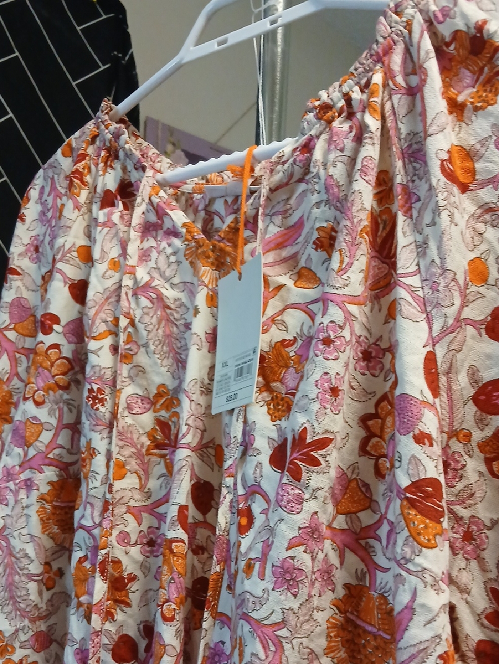 Knox rose
